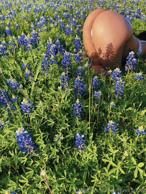 2999x3999 b69c873ab2201f1f52ab42ff1cecad85f4a7f74bf706ecee