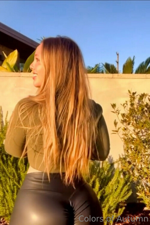 29e1153b d323 4afc af72 6651305ba734ae37b08d7c6219d6