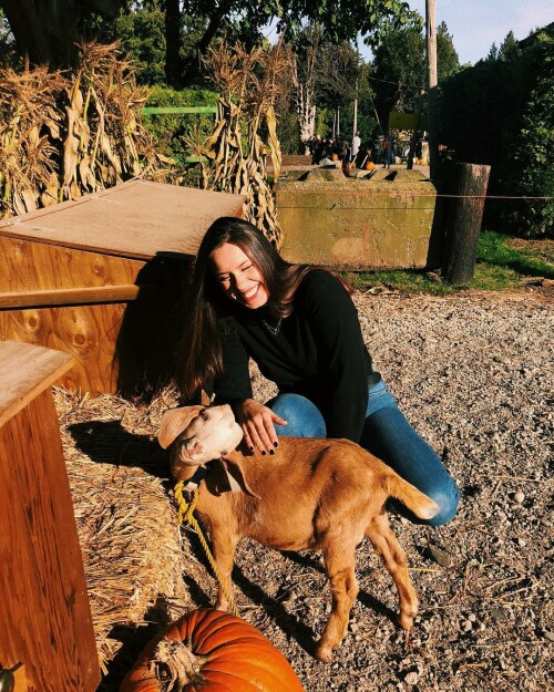 2A2A3A59 939F 4E96 B0BF 9BAC9FD5D335