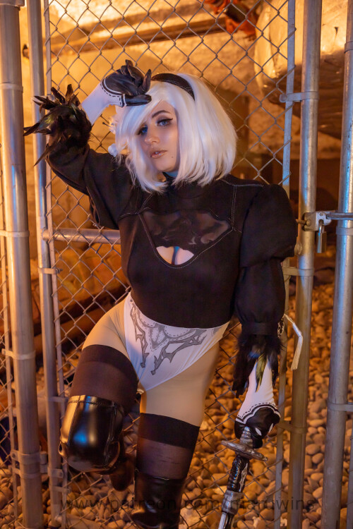 2B SFU 3 of 2289e77a1dd3797f37