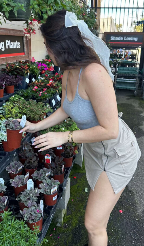 2CB36866 3D03 40F8 A33A A3ADC9DBF3CF35135f8b5d2da8f0