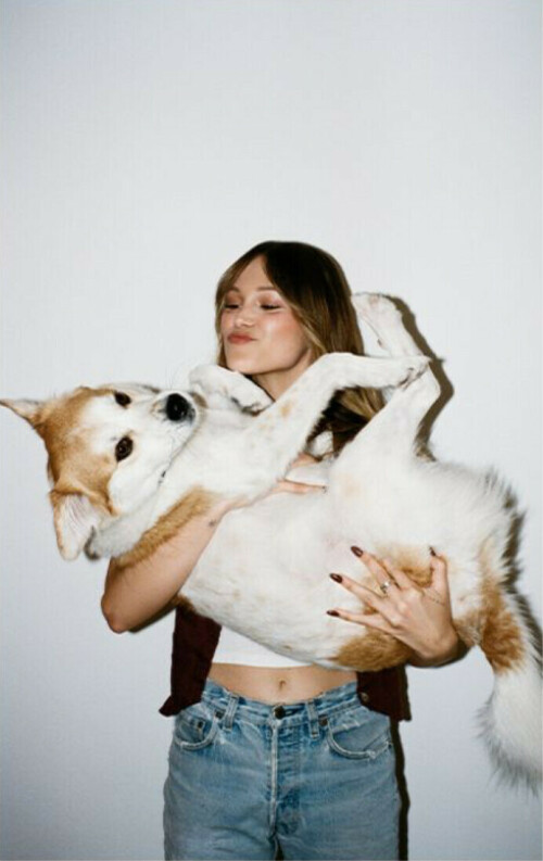 2FC08B55 4CD9 4E71 92D1 49D990632443