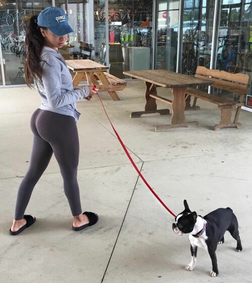 2bb48688b403d6c5ca45c177e8594923