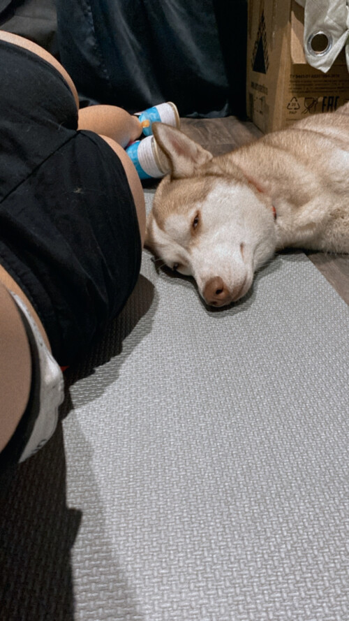 2d0ba555 46f2 4bb1 98af 6ba243ea320bbcd17569088a5b0c