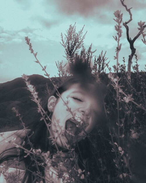 2e1ca9dcced76a4c85791ff227191342b367023adf3149a5