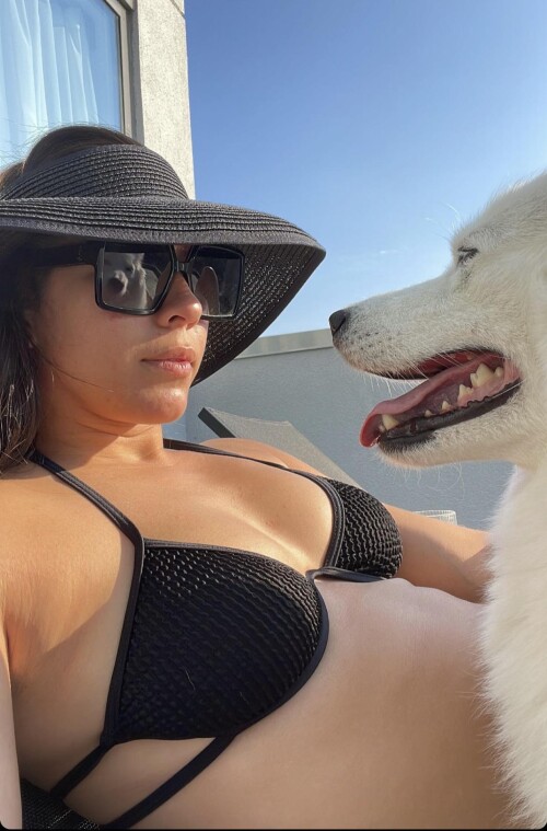 2rfkffc2evc91107191bc8b464f12