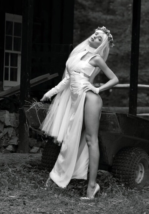 3 N1xssq35b8ff4233e3d14a2