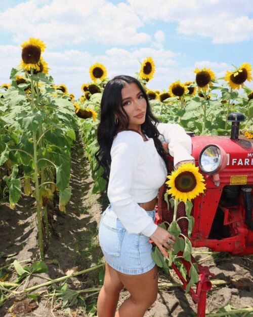 3 3 3 2d50b322b0e23178f