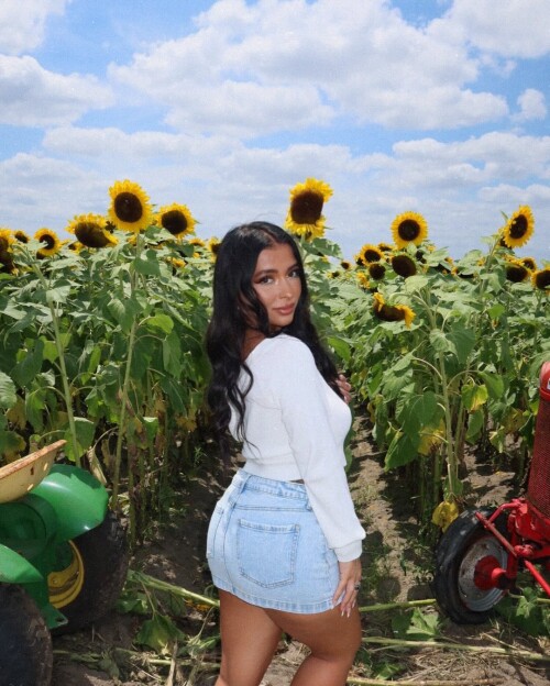 3 3 3 376bd34dcada226a7