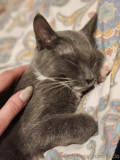 3000x4000 37608ecf0998f88d7c9af86f80c0d2b5