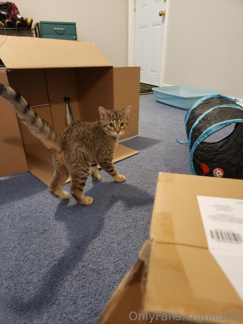 3000x4000 6cc2d04d3f5df8a2429b8fa7ea2ef1bd