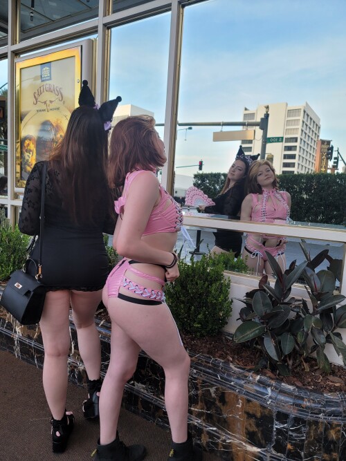 3000x4000 989087c45d7964517cb8813fd031da3e