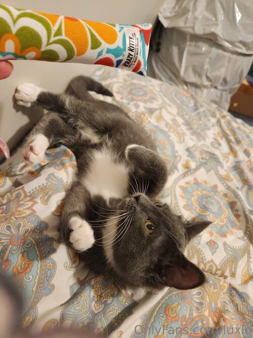 3000x4000 a16bf1052b6bb8a7a1e014dc2df71afe