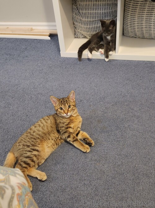 3000x4000 e288e1ddb9eb7887c017435c01d1fcf6