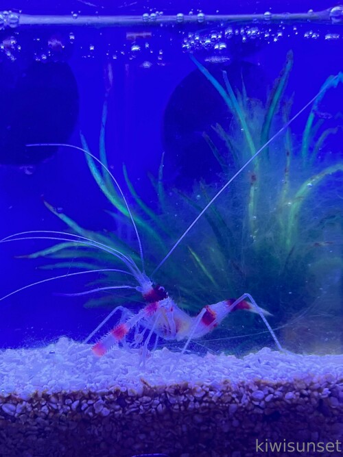 3024x4032 0509d3a3c20c6256678012b125006fad