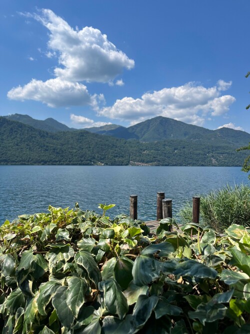 3024x4032 1aaaefa0777e2b5ceaa7010996c7da5ef2a29b44244a2c3f