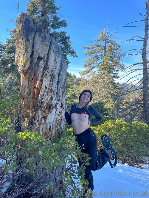 3024x4032 1e621ca17704fda9f7dbbc57000b85f4