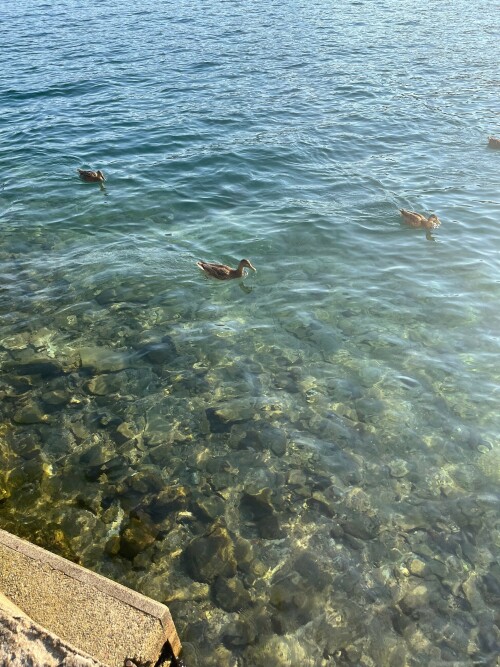 3024x4032 205fe2ec11fea68fe30648d5e112be2469d92ab92d6a0a24