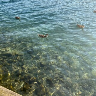 3024x4032_205fe2ec11fea68fe30648d5e112be2469d92ab92d6a0a24