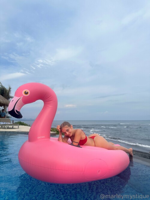 3024x4032 2110352f823f7f8ebcf88268c8c61538f4b362004bee4a38