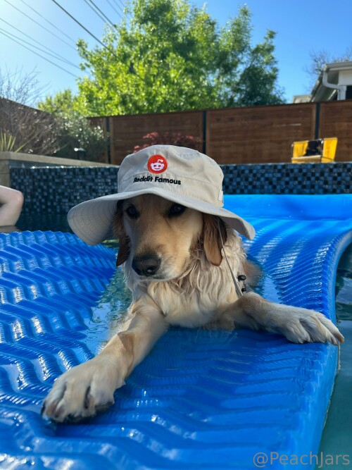 3024x4032 7cea403f09e6cb1b72bb05a6d89bb3b8