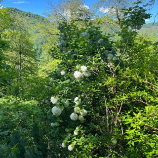 3024x4032_8cb13c078ba44e6ae100814efbe75aeb280c94afcc8fc766