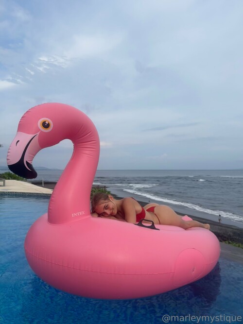 3024x4032 8d37143bb251090ad0407eccee0d3825f00e96a999d9f657