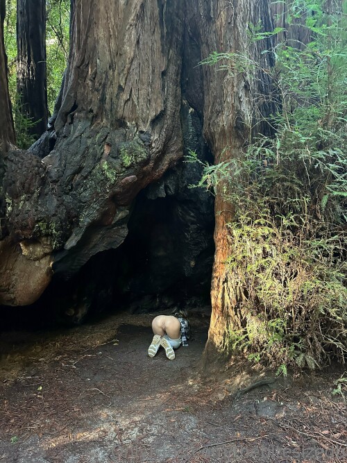 3024x4032 90e9dee7676134eb796516a1cf1631ae