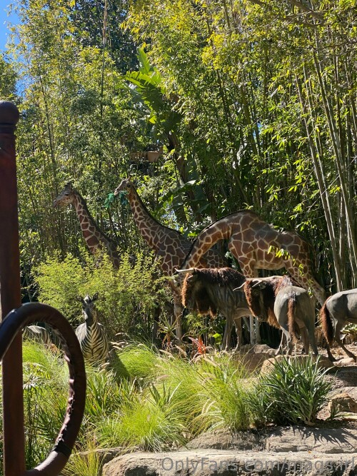 3024x4032 a4fb6b52d3c651313fdaf4c78a7b9d25