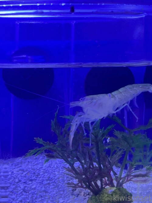 3024x4032 ae5d37c965f85d1c47eb34475f868030