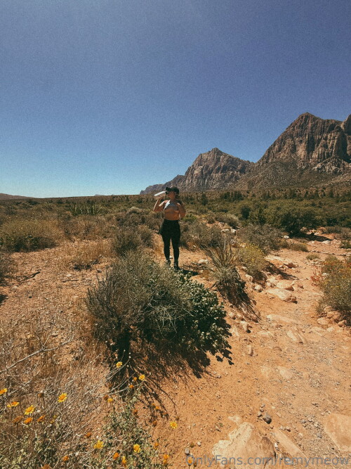 3024x4032 b9c31fa22d65307a8fdfbe947953ddf803cafd3637befb9f