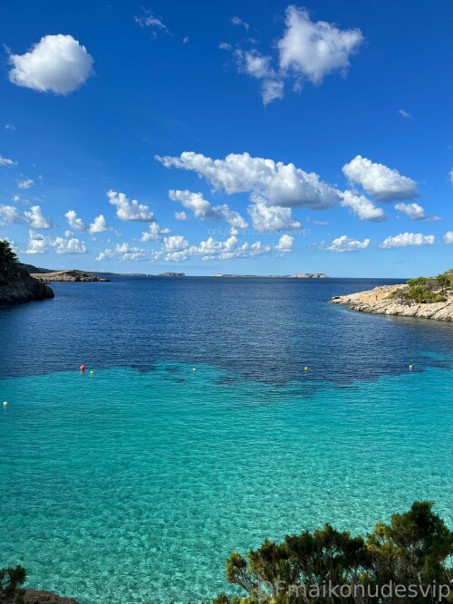 3024x4032 c256fc82eb6f5201632f66a1cd96fcedd54a2c4df50762b5