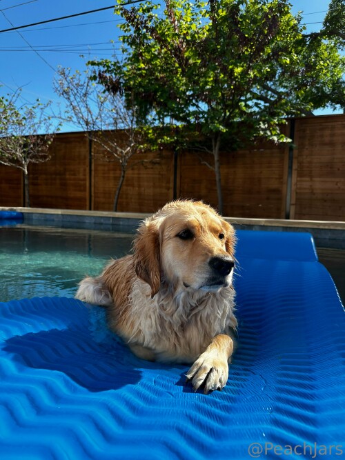 3024x4032 e490a8ed8074458904927a674485736b