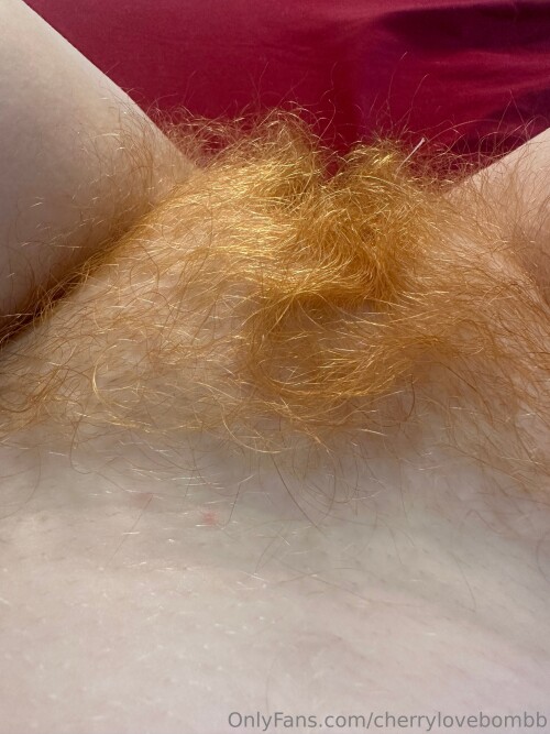 3024x4032 fc1744e75646b1cde8bb153cccc8a209ca28cd1f6c585dd8