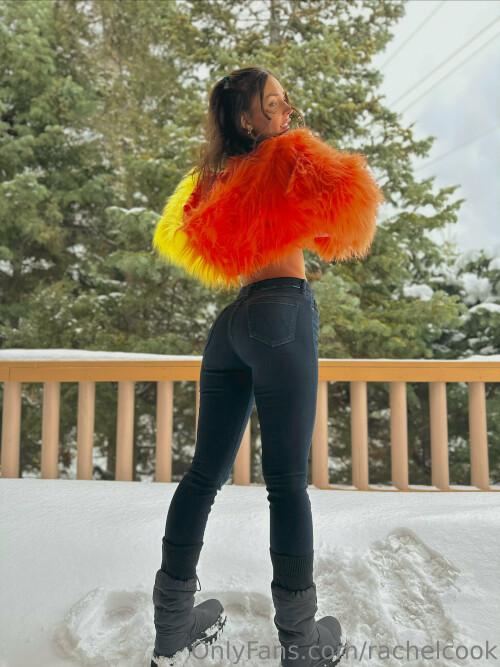 3024x4033 17663a65715579c9ed3fbe603566ce3d