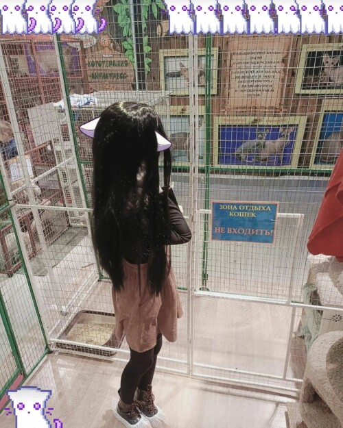 30287817108631066317ef5fee06aaff757