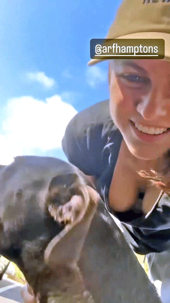 3061bc26e1137e5483-1fda27615ed744e09