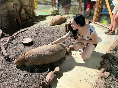 308400347 157434893545429 6146942417477100957 n