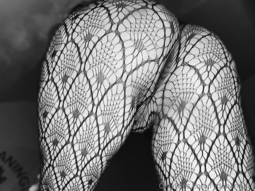 3088x2316 a20f3d187095f02d7bacd72dfa7a0505