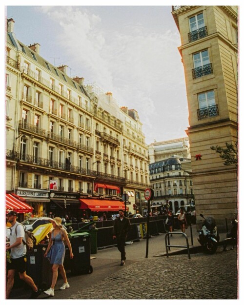 310428332 177320231456737 5384131574023467441 n