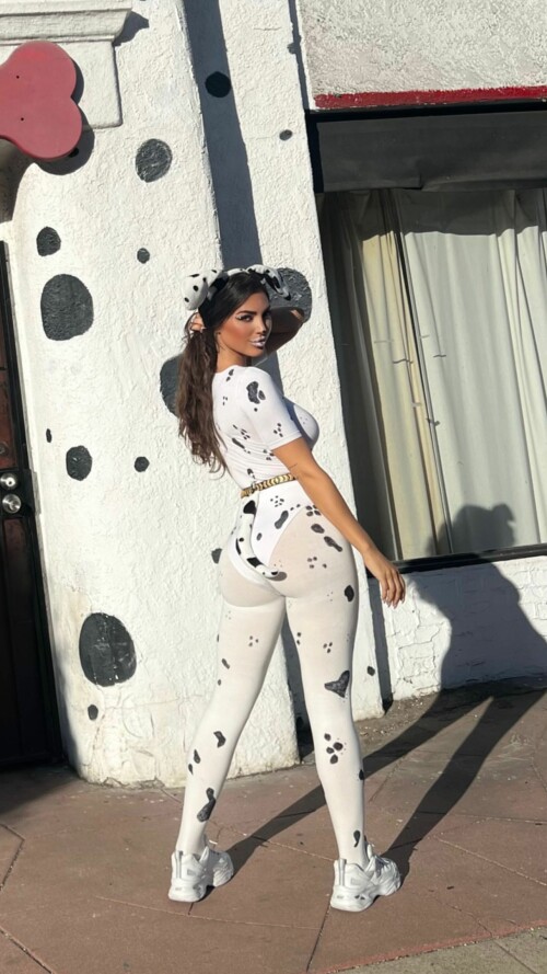 313814326 645680483857707 2834307635268871083 n