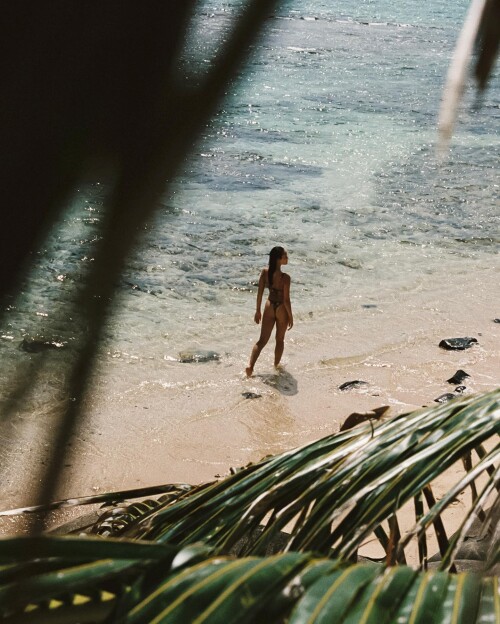 3143896203522930788 41696269e8c2e53c9f4b6b9d