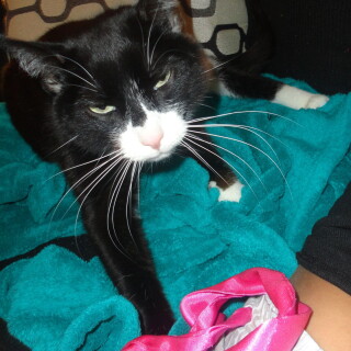 316-03-lg59862cdbc9f835bf