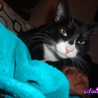 316-18-lg8a00111cf8ed392a