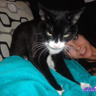 316-22-lg2aadc5ad1f588d3b