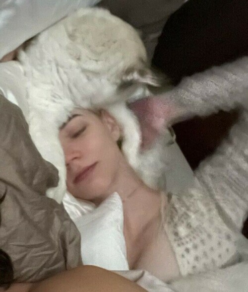 321362592 9127784173902060 3585870791352200998 n