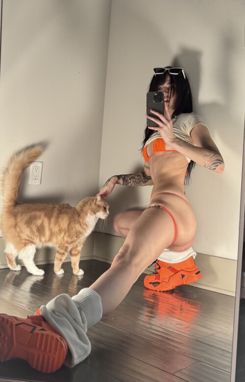 32486a76744edd5ee513a