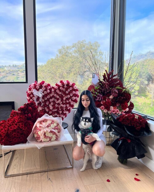 325590772 474826574818892 7787167961081721892 n