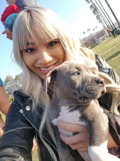 330 LDa51pRfa8b6bfe47392bc9