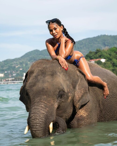 331649017 1633524983777487 8472782052910132209 n